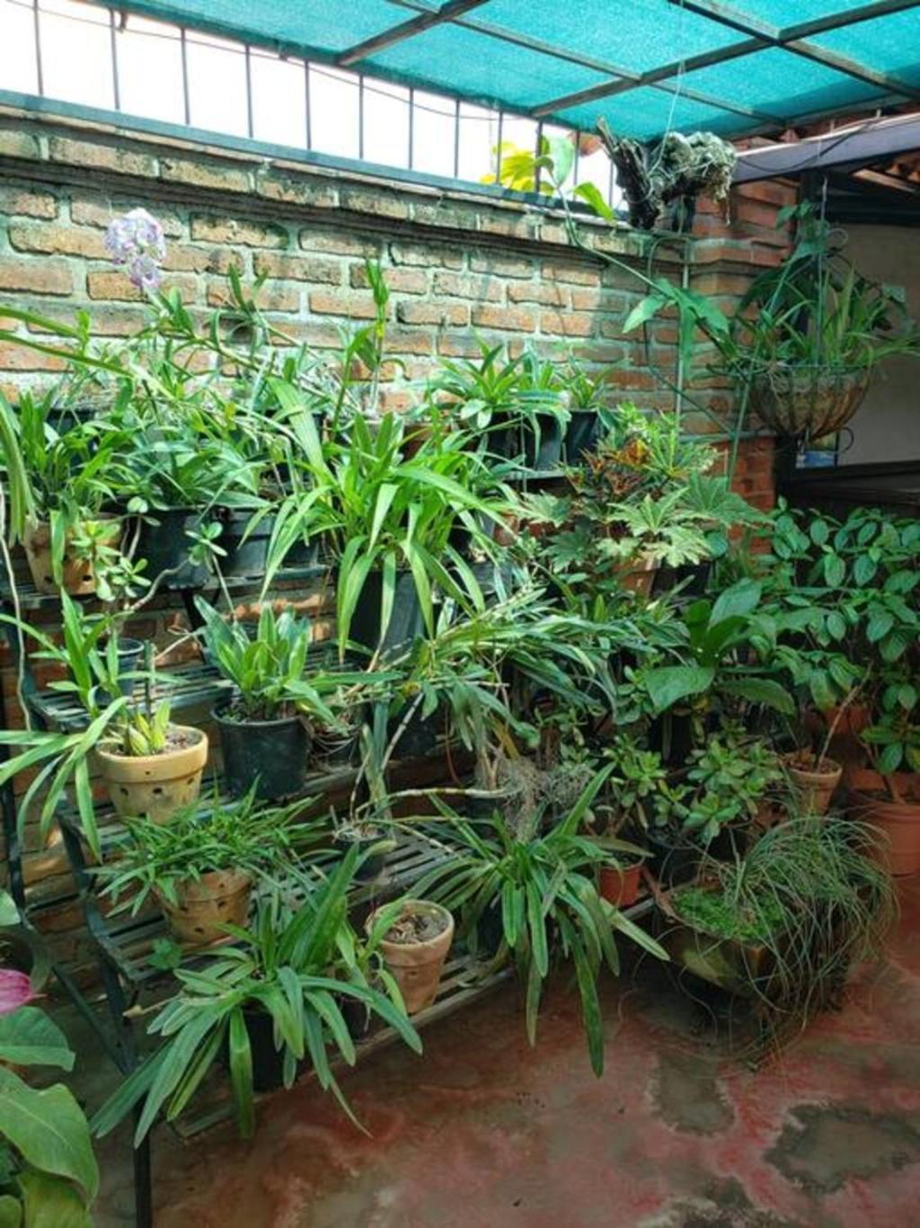 Enjoy Ac In The Queen'S Suite At Inn Ajijic Exterior photo