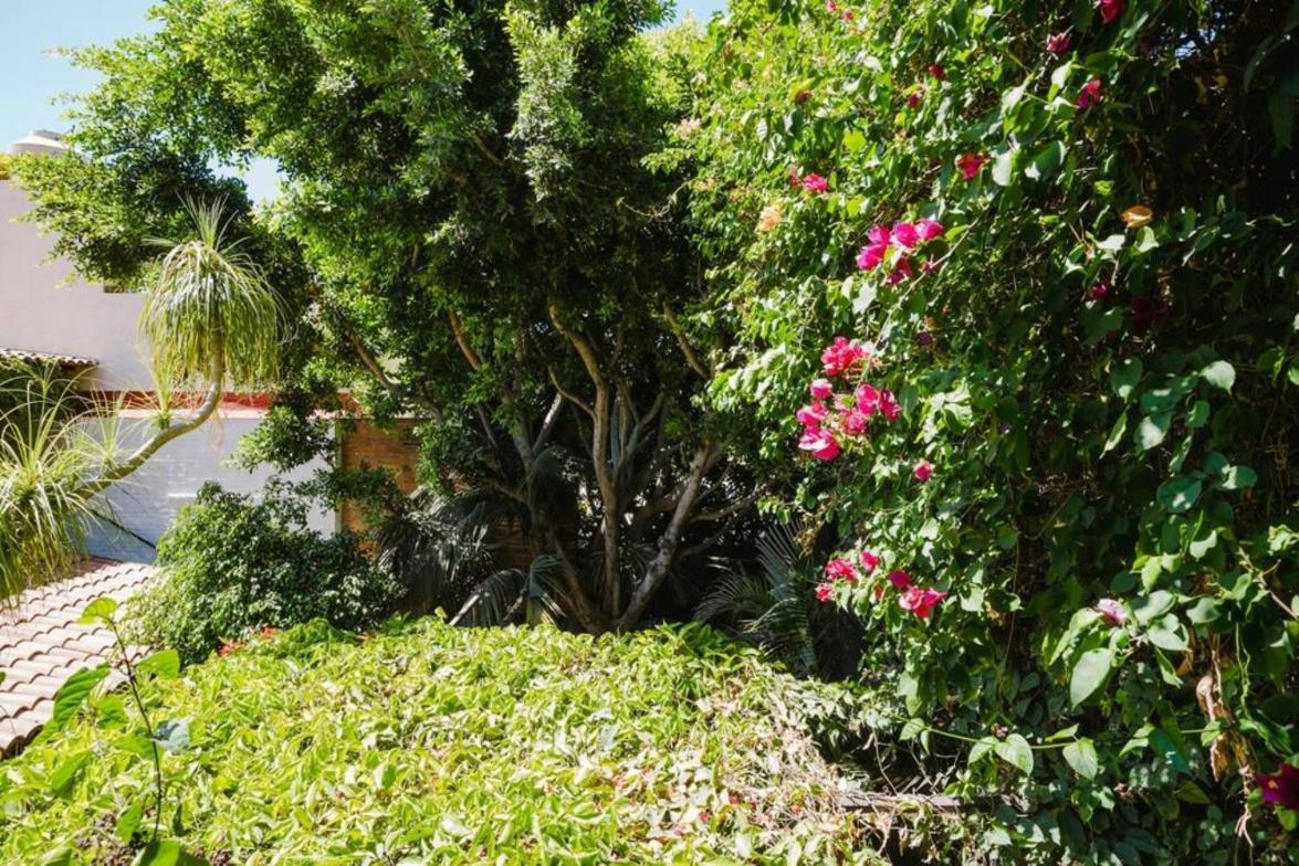 Enjoy Ac In The Queen'S Suite At Inn Ajijic Exterior photo